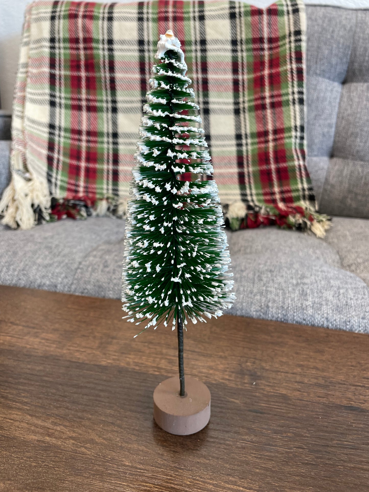 Snowy Bottle Brush Tree