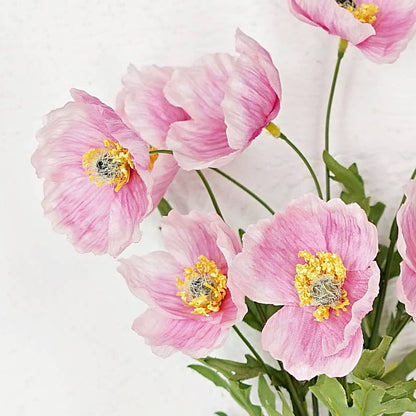 Pink Poppy Bundle of 3 Stems - Terra Cottage