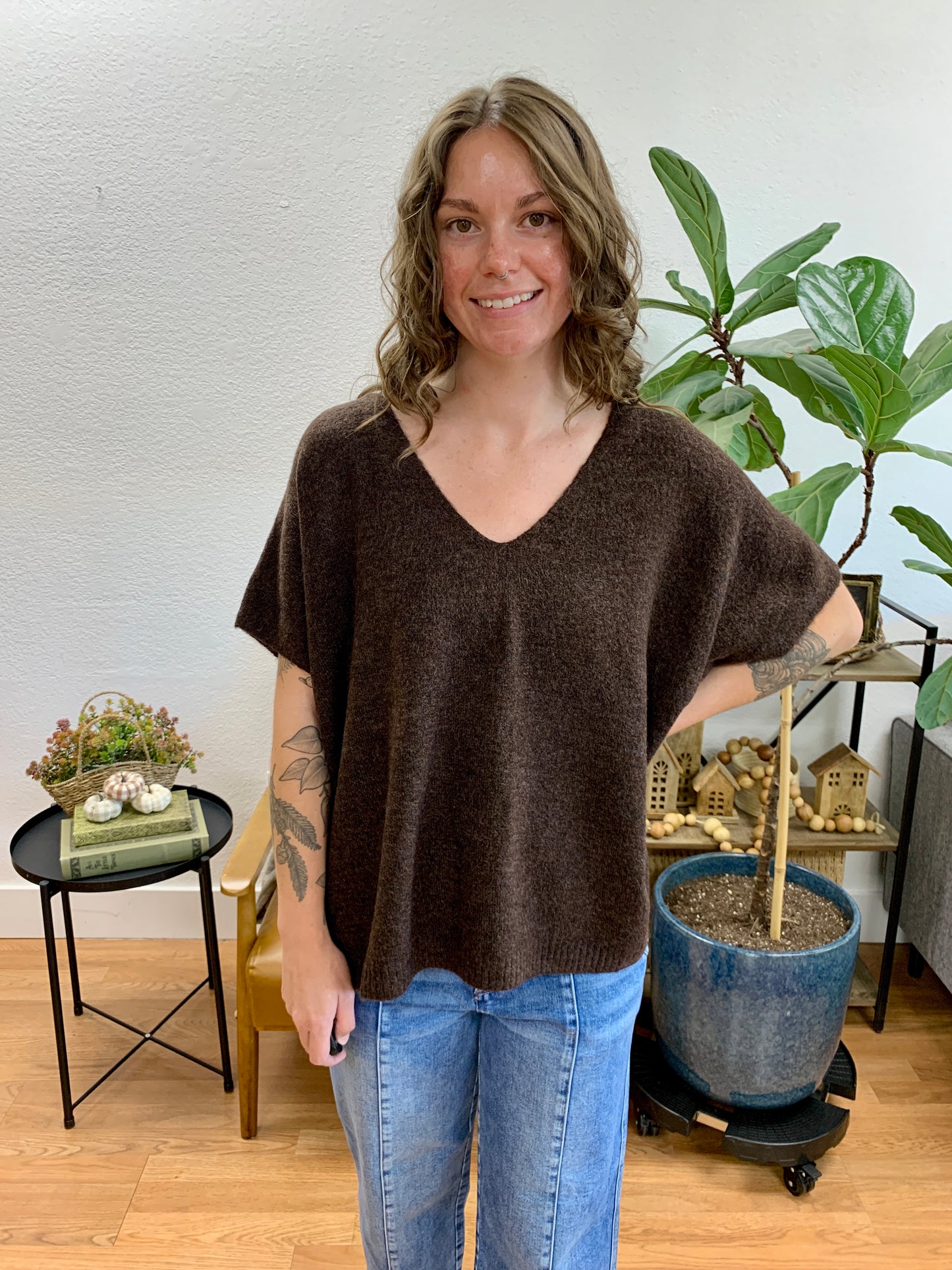 Brown V Neck Short Sleeve Sweater