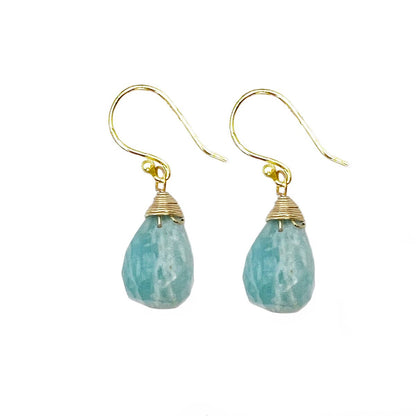 Amazonite Jasper Teardrop Earrings