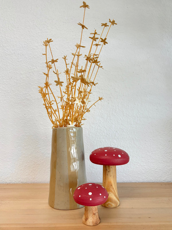 Mushroom Hollow