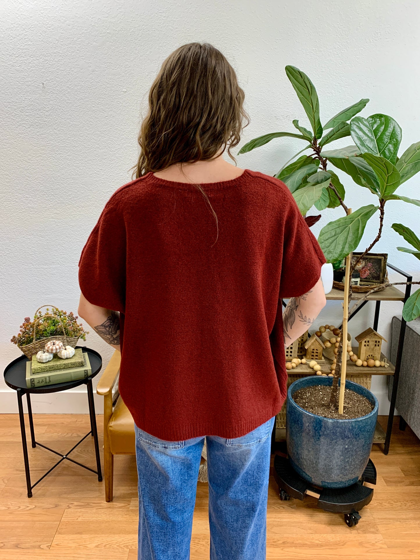 Wine V Neck Short Sleeve Sweater
