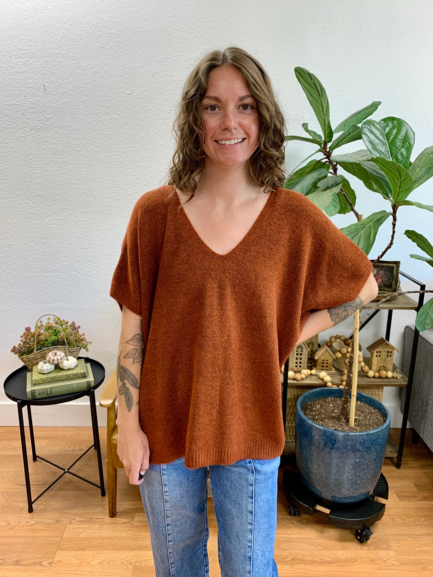 Rust V Neck Short Sleeve Sweater