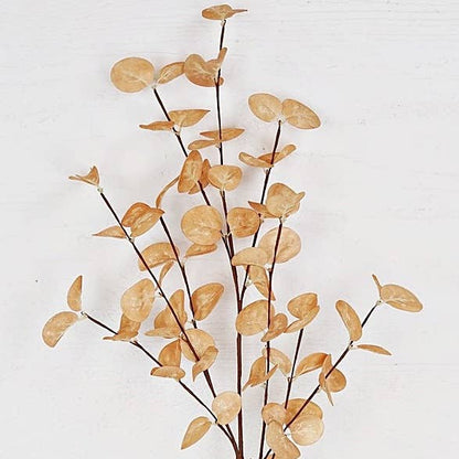 23” Eucalyptus Silver Dollar Leaves Stem in Beige