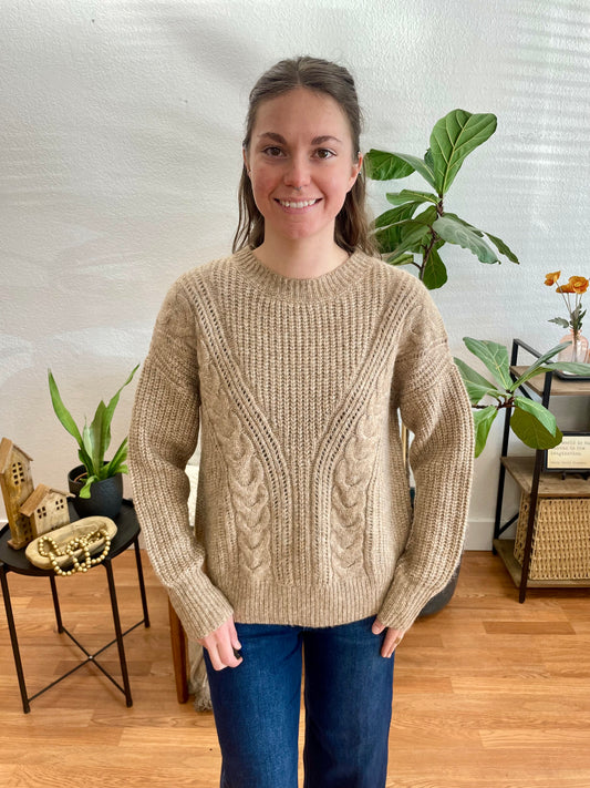 Taupe Cozy Plush Sweater