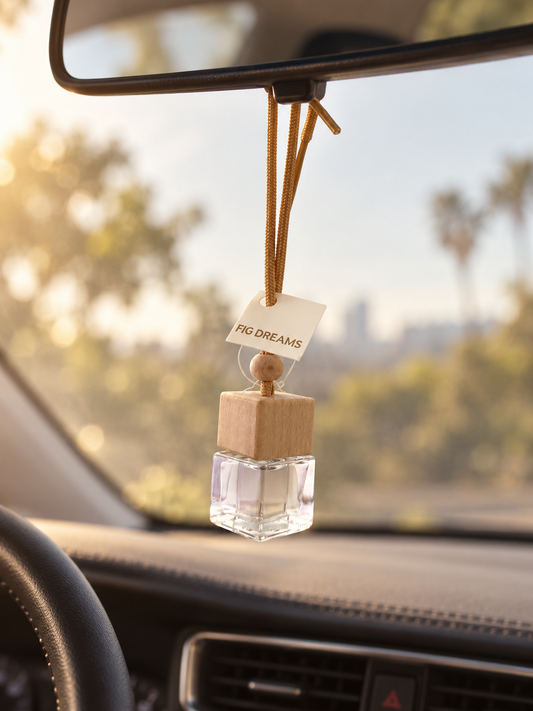 Car Diffuser