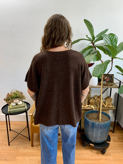 Brown V Neck Short Sleeve Sweater