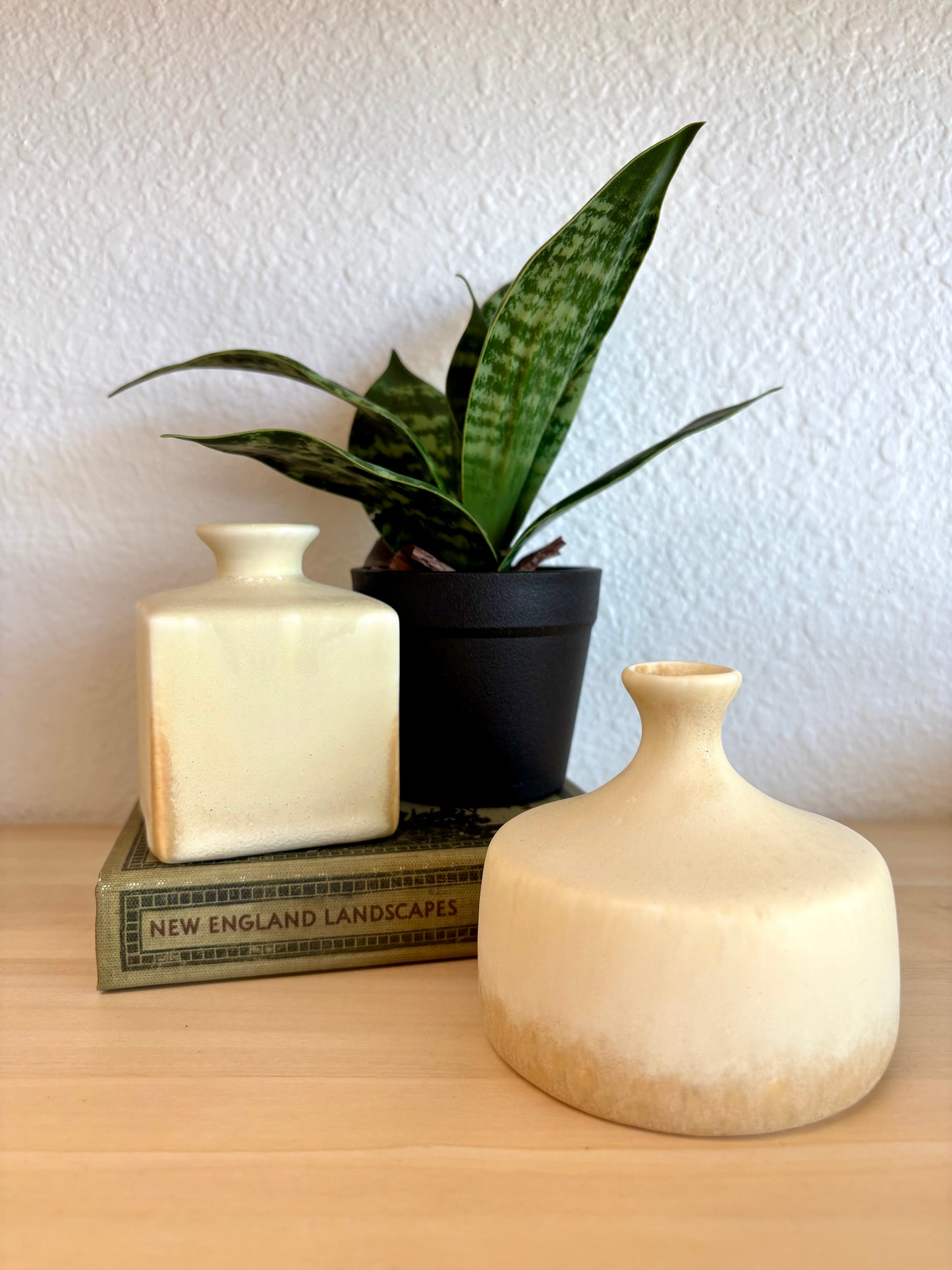 Still Life