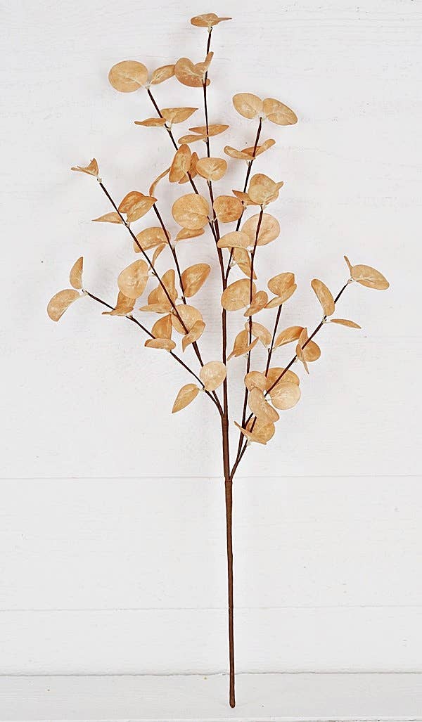 23” Eucalyptus Silver Dollar Leaves Stem in Beige