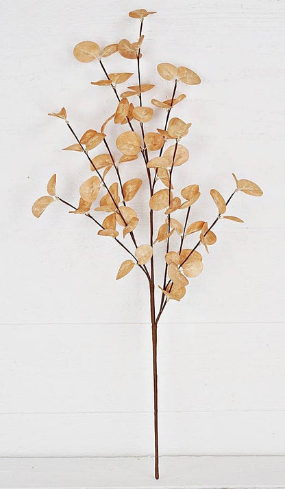 23” Eucalyptus Silver Dollar Leaves Stem in Beige