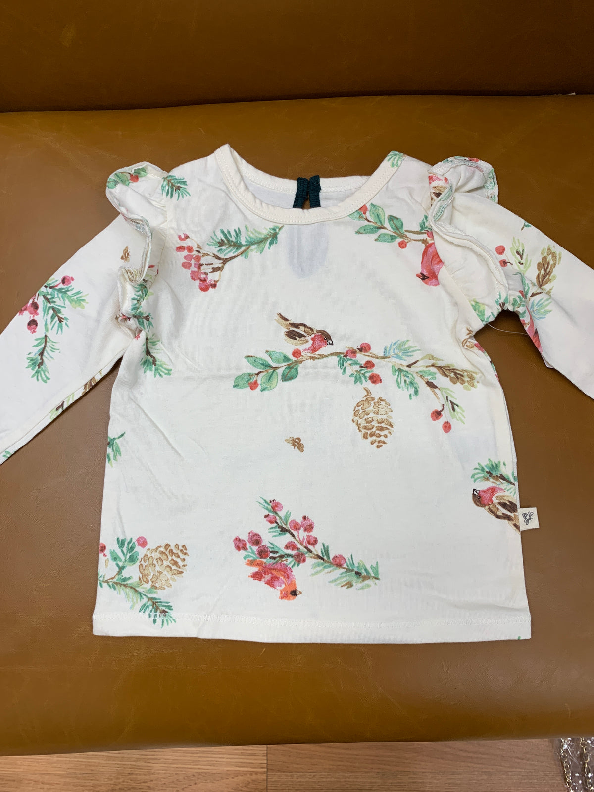 Winter Birds Baby Dress Set