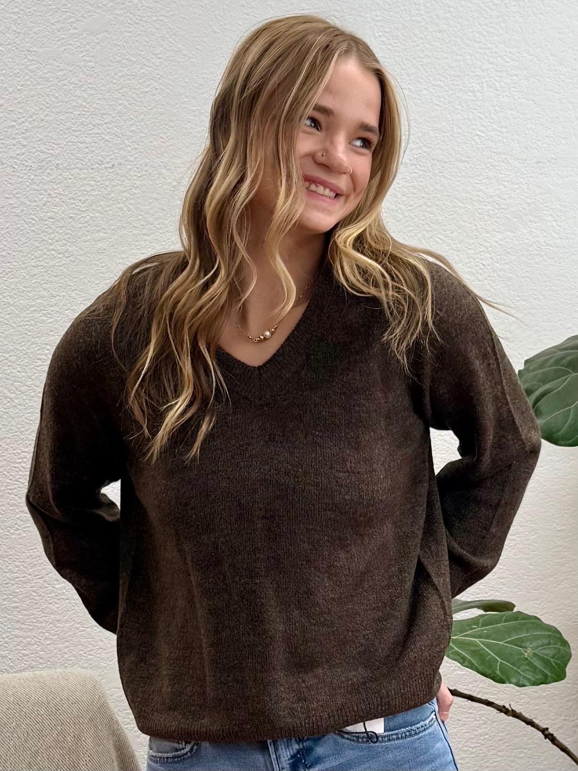 Brown Knit Pullover Sweater