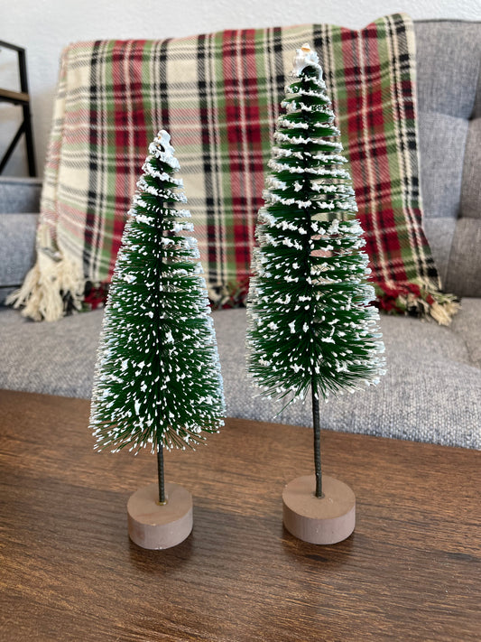 Snowy Bottle Brush Tree