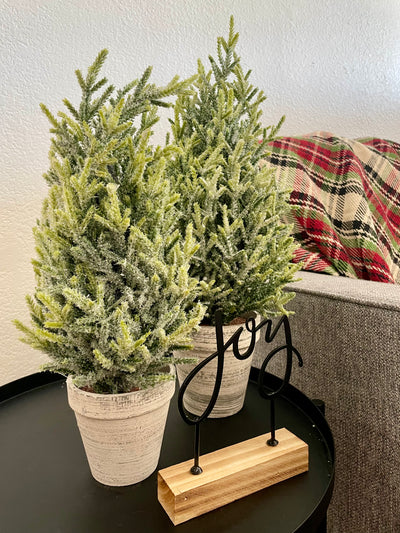 Potted Icy Pine Tree - Terra Cottage