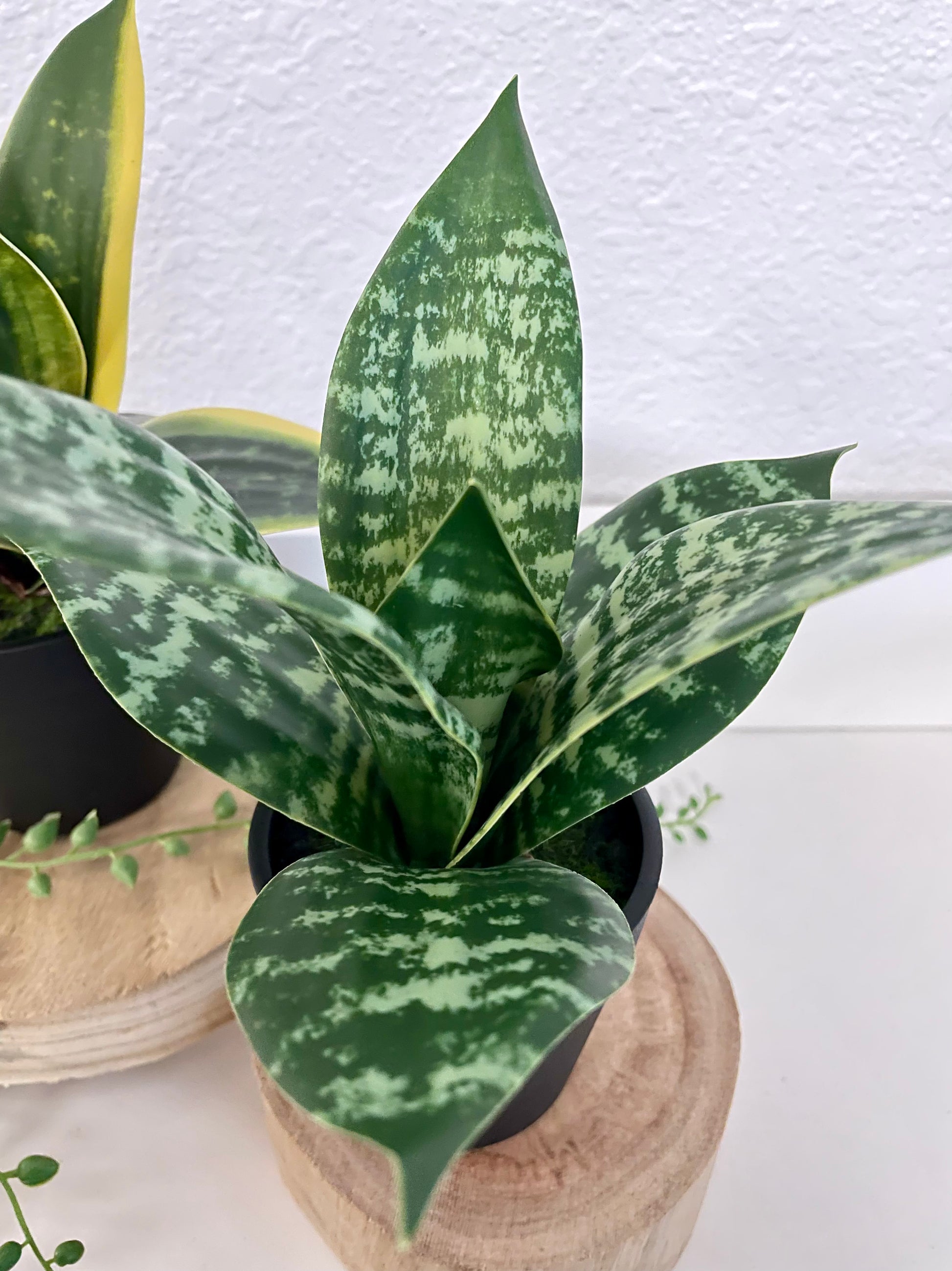 potted faux snake plant Faux Potted Snake Plant