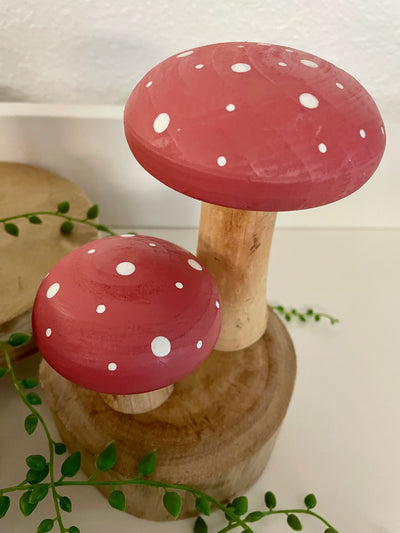 Mushroom Sitter - Terra Cottage