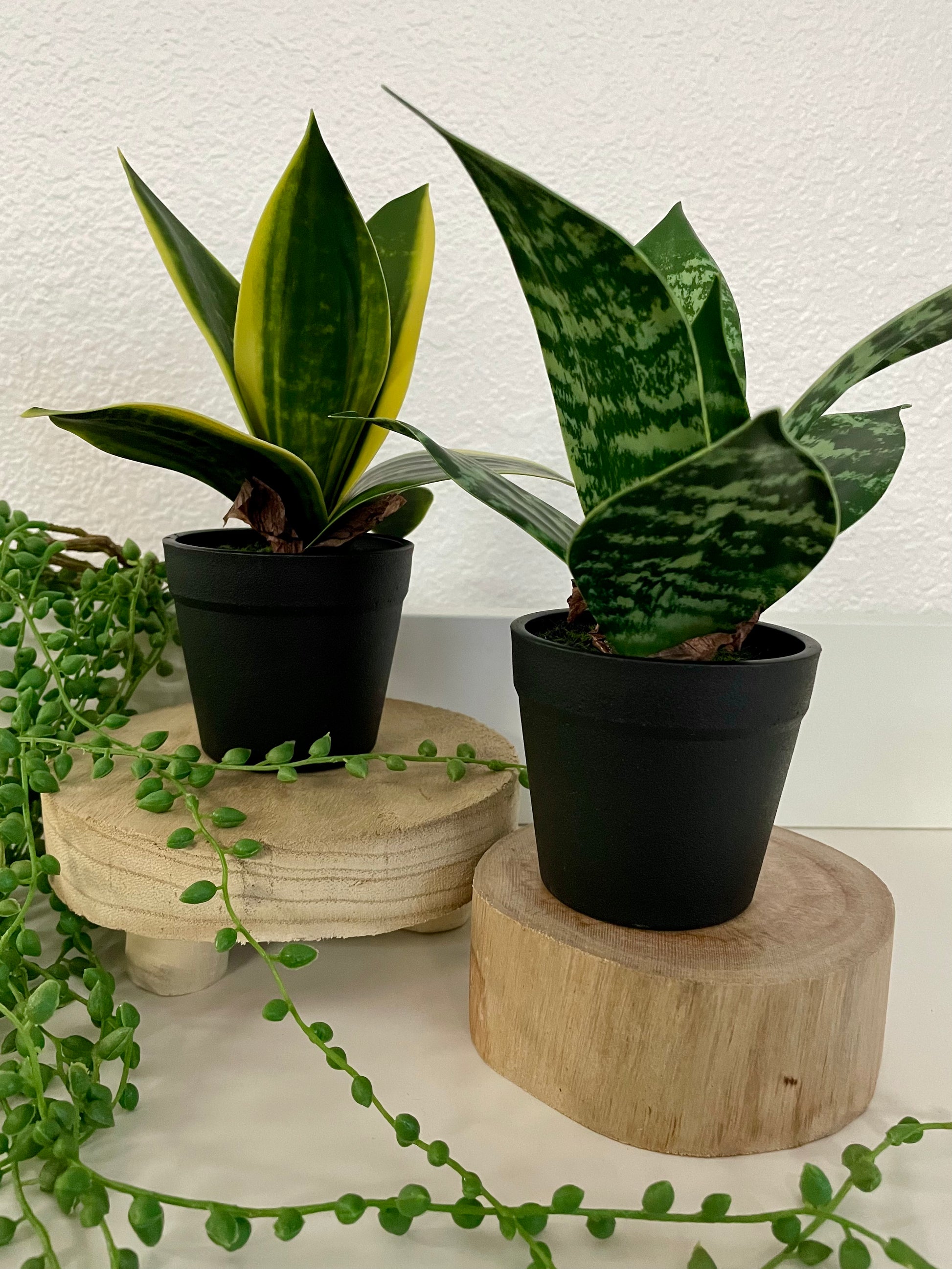 potted snake plant Faux Potted Snake Plant – Terra Cottage