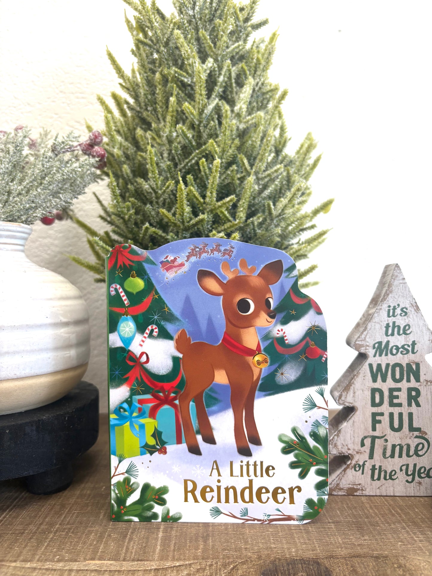A Little Reindeer Book