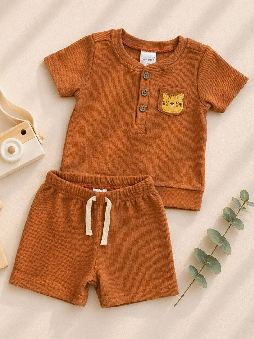 Tiger Shorts & Top Set