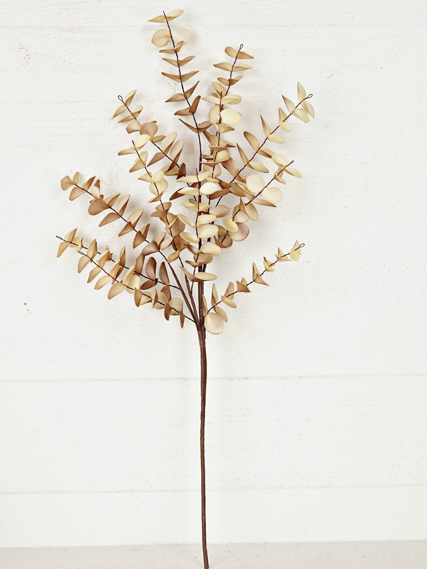 24in Real Touch Eucalyptus Stem in Latte Beige