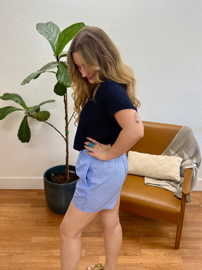 Blue/White Stripe Poplin Shorts