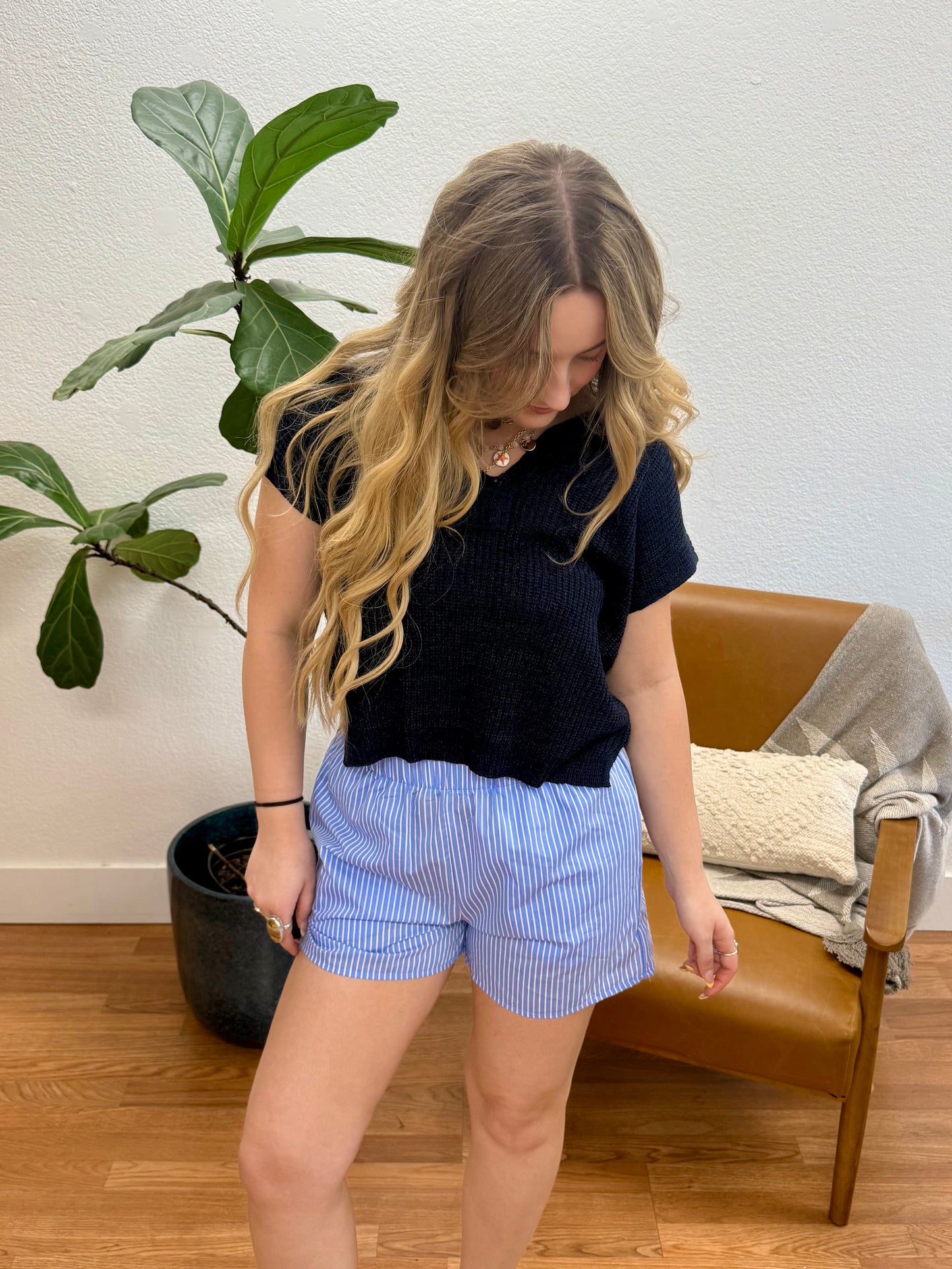 Blue/White Stripe Poplin Shorts