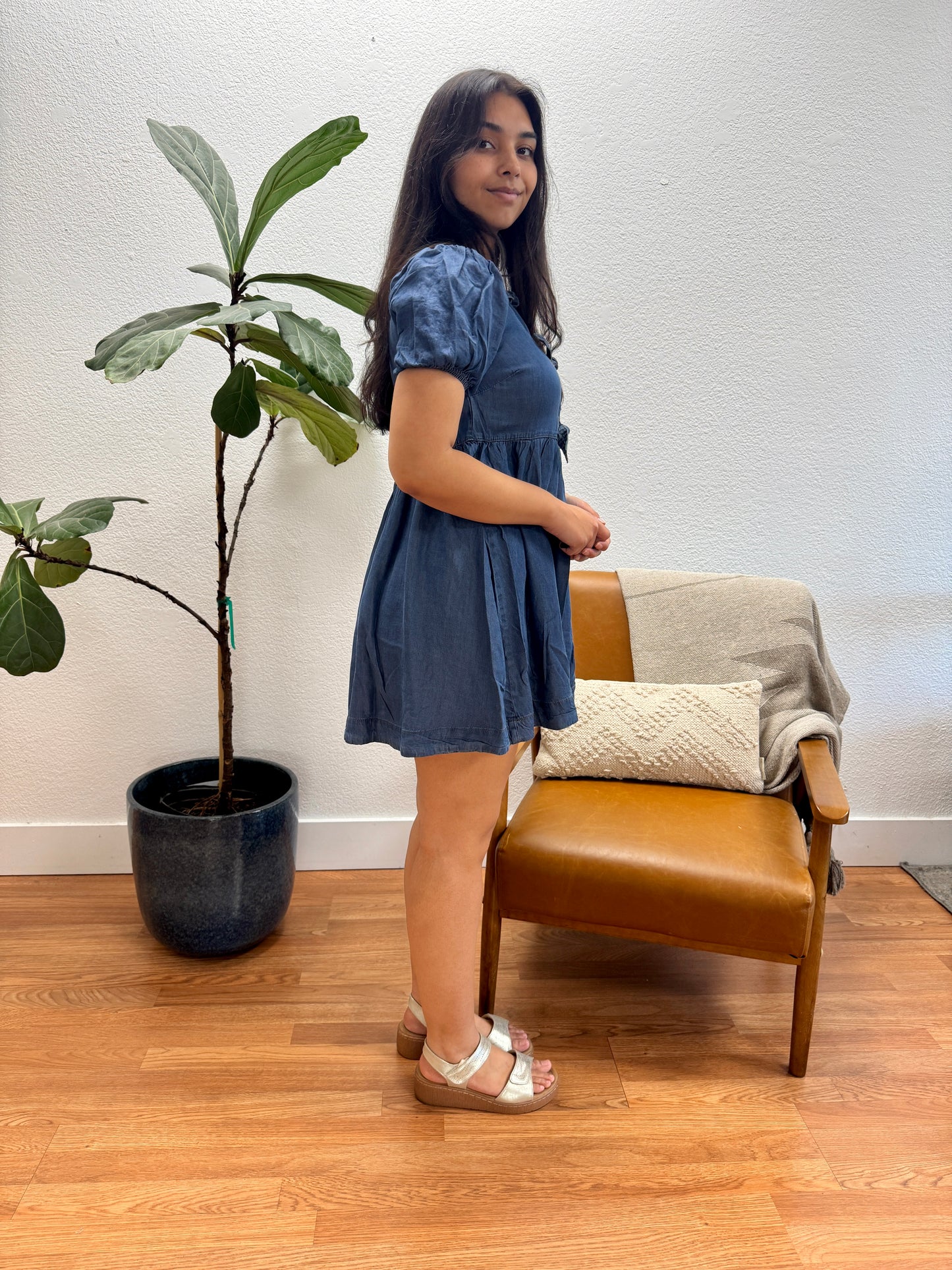 Chambray Puff Sleeve Mini Dress