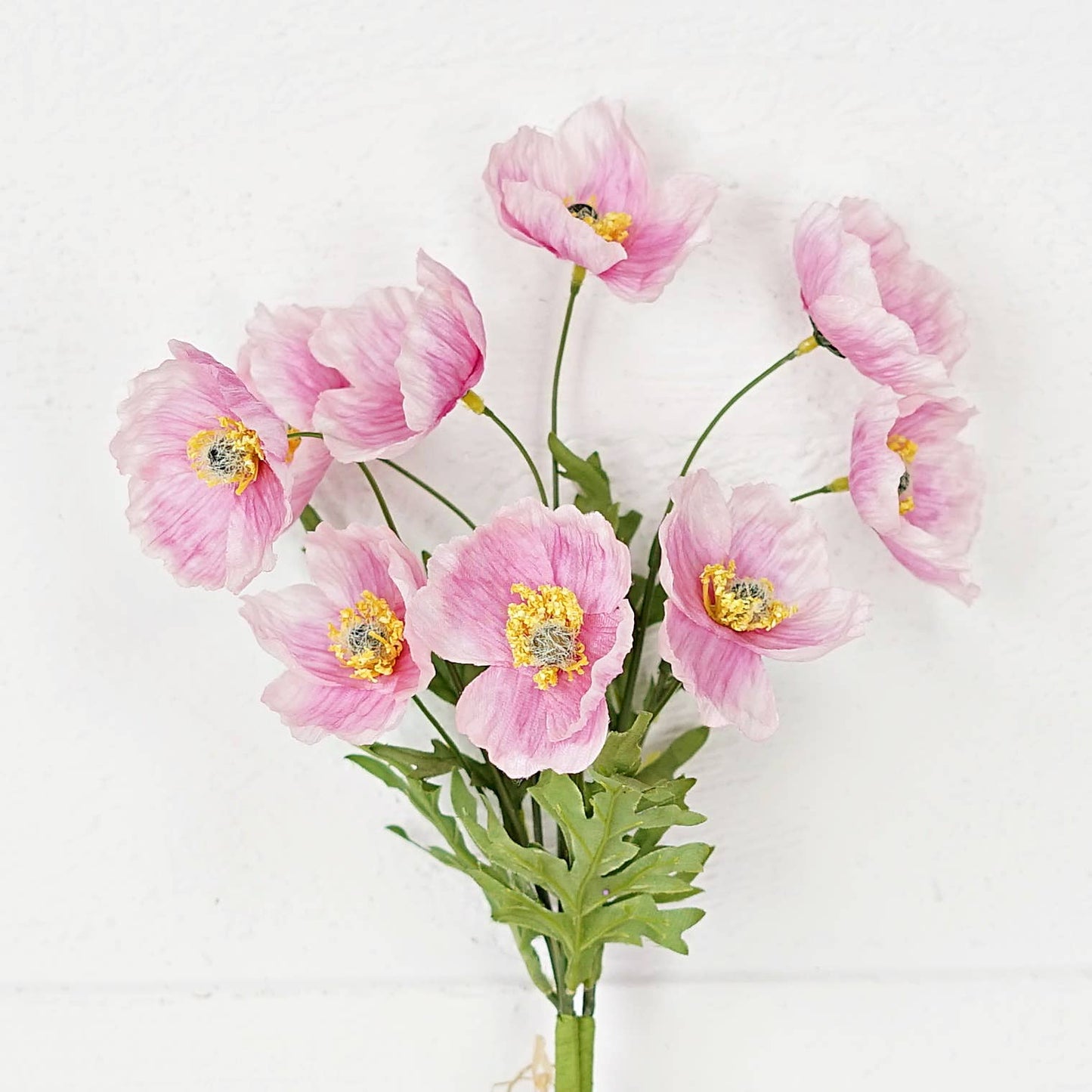 Pink Poppy Bundle of 3 Stems - Terra Cottage