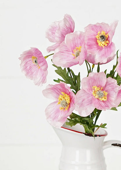 Pink Poppy Bundle of 3 Stems - Terra Cottage