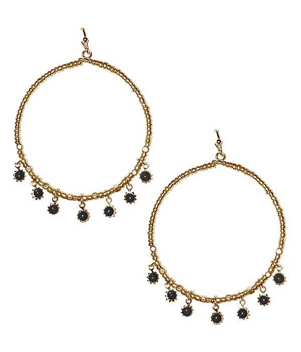Metal Hoop Stone Dangle Earrings