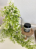 Trailing White Wildflower Stem