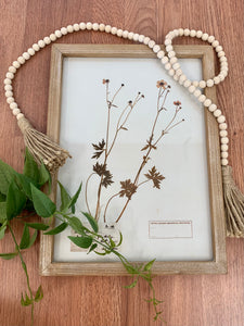 Pressed Botanical Frames