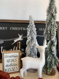 Snow Dusted Evergreen