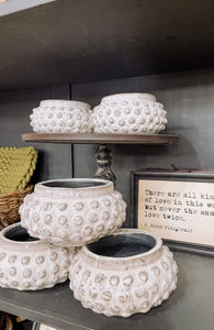 Small Dot Planter