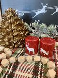 Salt & Pepper Reindeer Set
