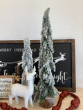 Snow Dusted Evergreen