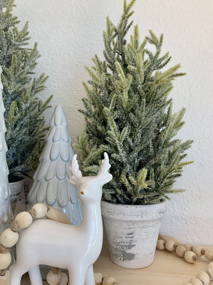 Potted Icy Pine Tree