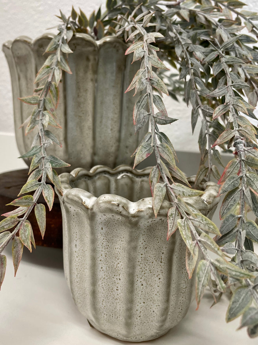 Faux Trailing Plant Terra Cottage